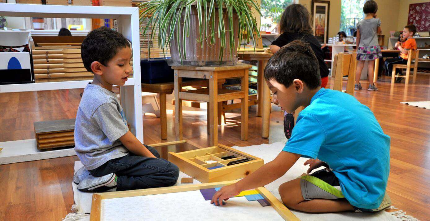 Montessori Overview