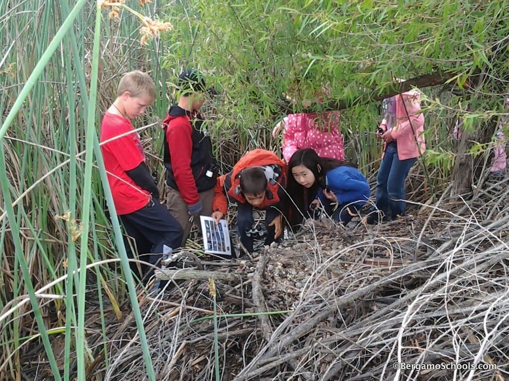 Montessori Elementary Students Visit Wetlands